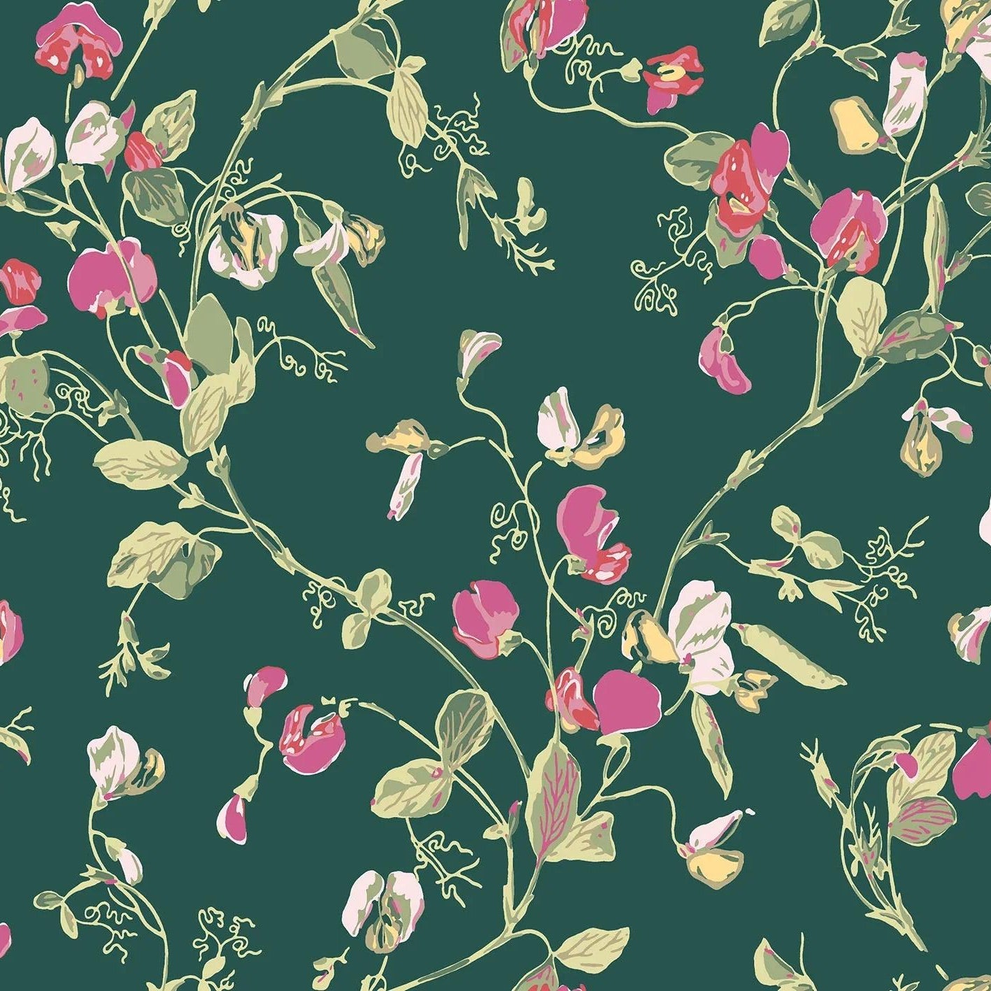 Tapeta BOTANICAL BOTANICA - Sweet Pea zielony Cole & Son Default Title   Eye on Design