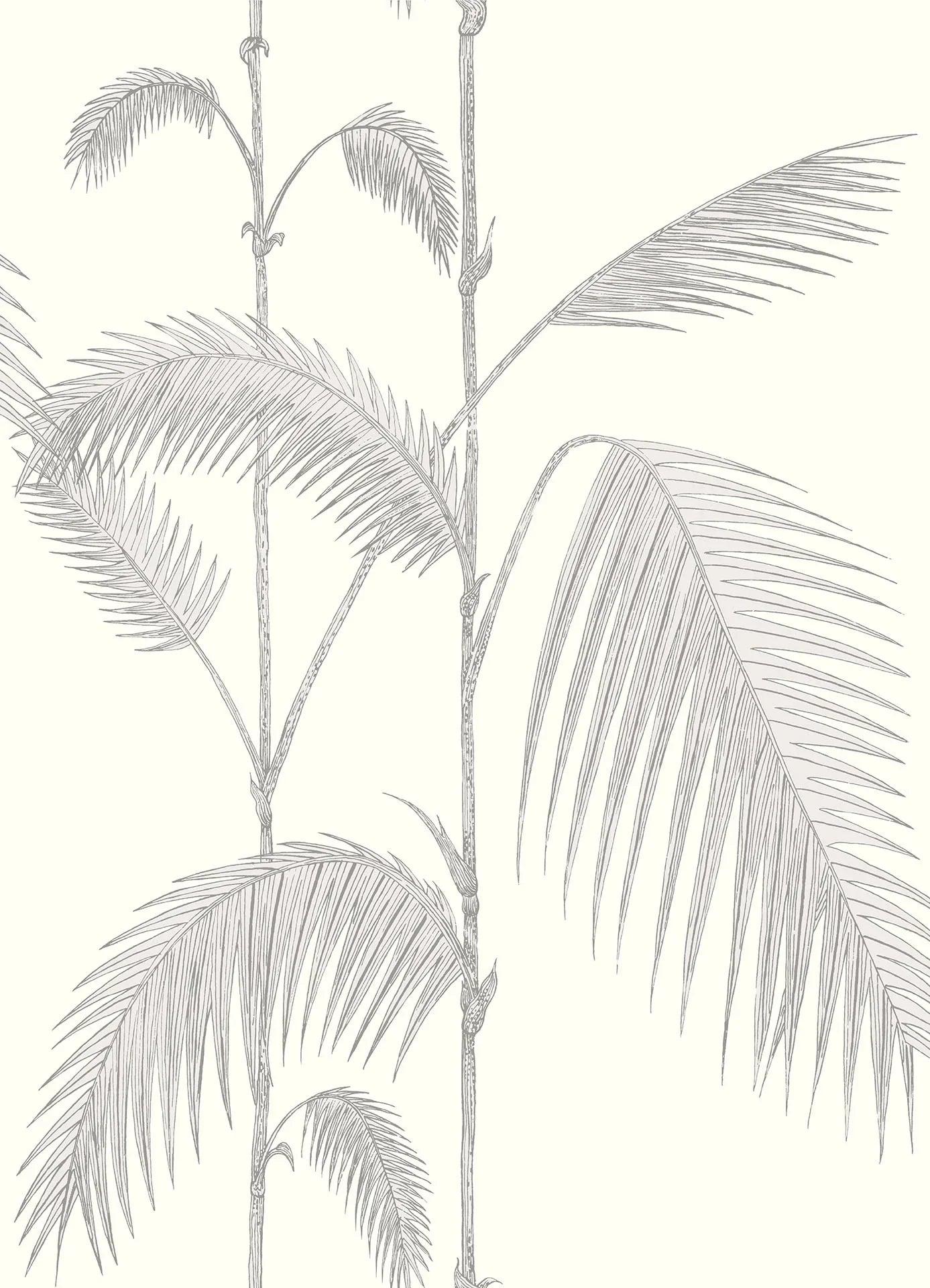 Tapeta CONTEMPORARY COLLECTION - Palm Leaves szary Cole & Son Default Title   Eye on Design