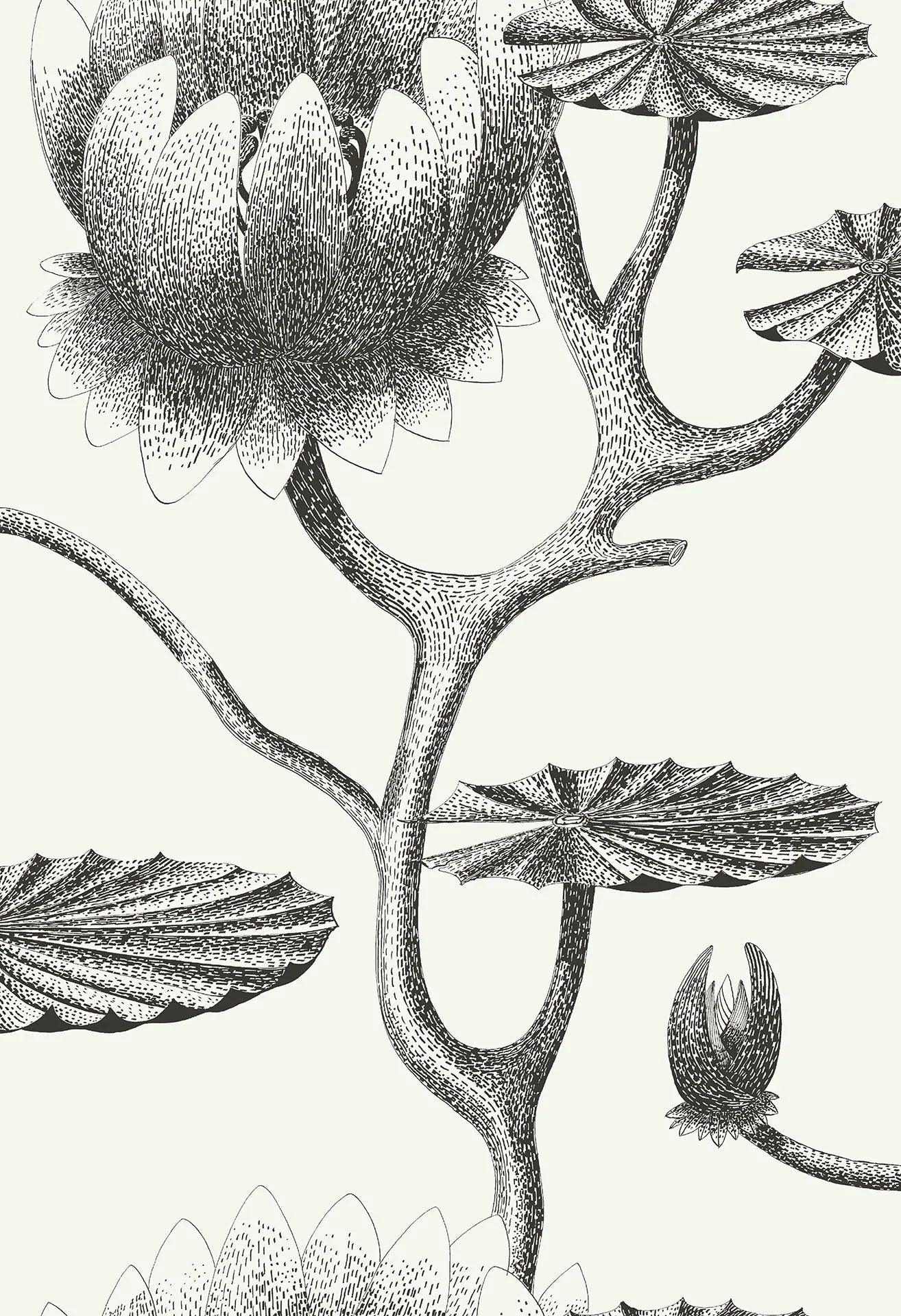 Contemporary Restyled Floral Pattern Wallpaper - White Lily
