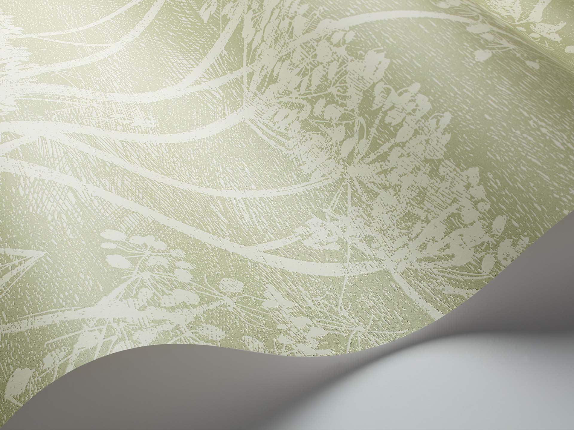 Tapeta ICONS - Cow Parsley zielony Cole & Son    Eye on Design