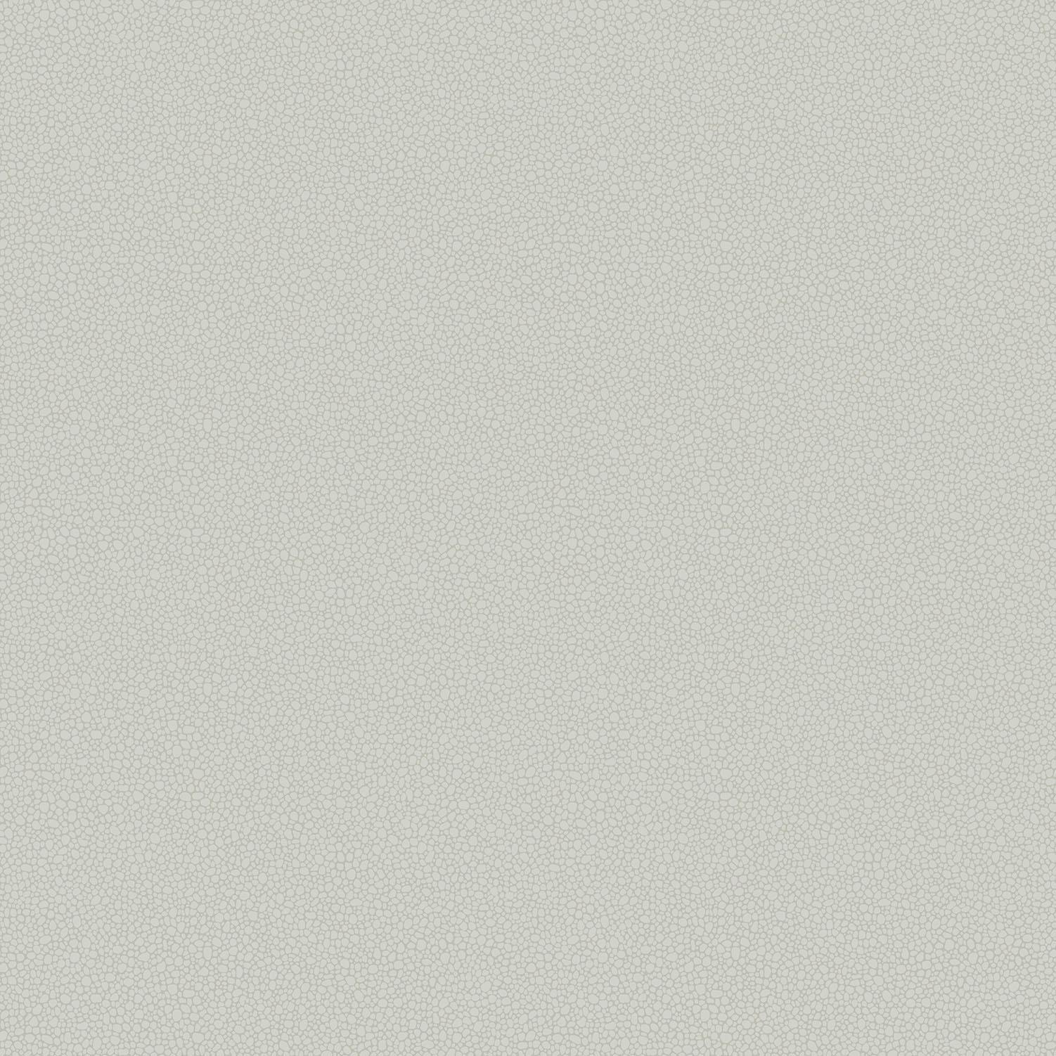 Tapeta LANDSCAPE PLAINS - Pebble jasnoszary Cole & Son    Eye on Design