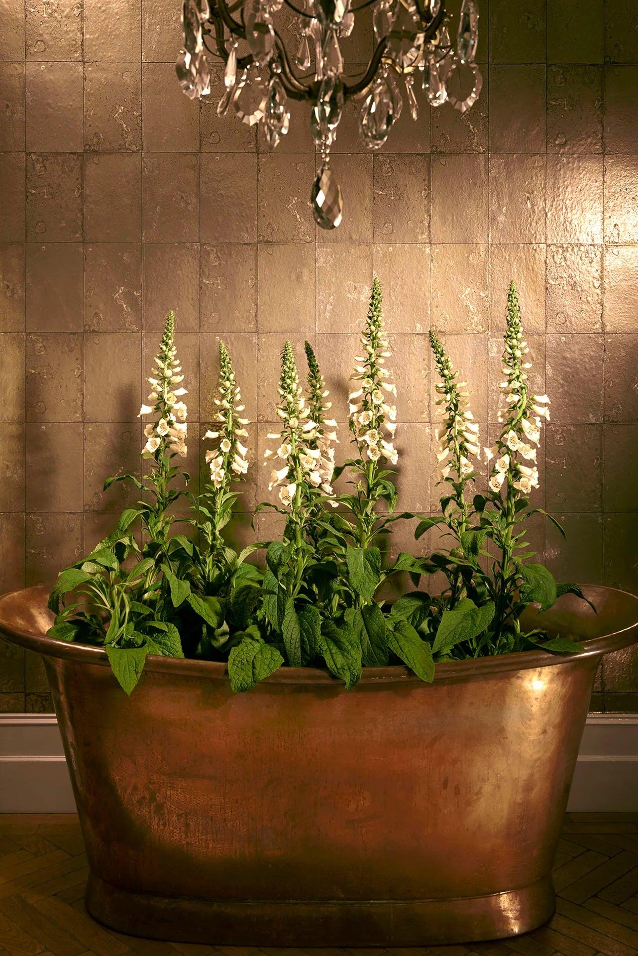 Tapeta MARIINSKY DAMASK - Antique Mirror metaliczne złoto Cole & Son    Eye on Design