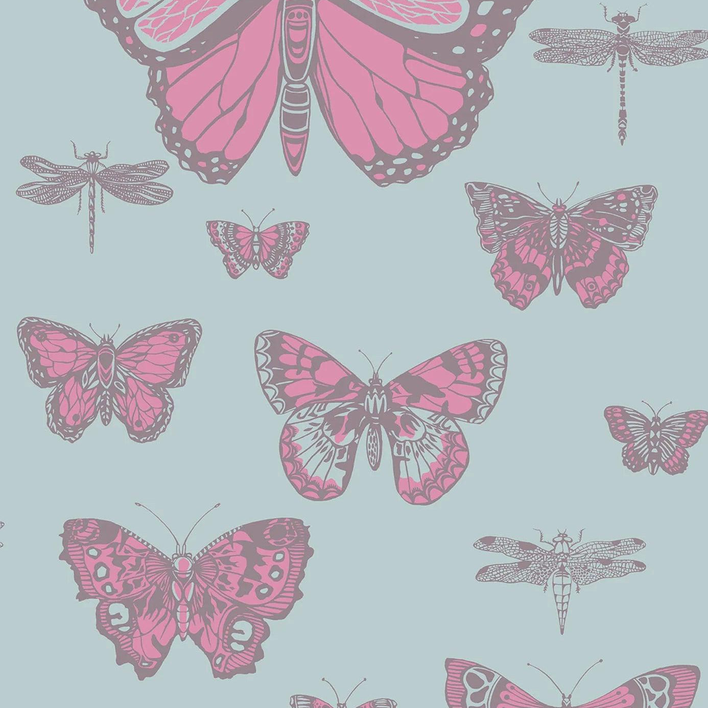 Tapeta WHIMSICAL - Butterflies & Dragonflies niebieski Cole & Son    Eye on Design