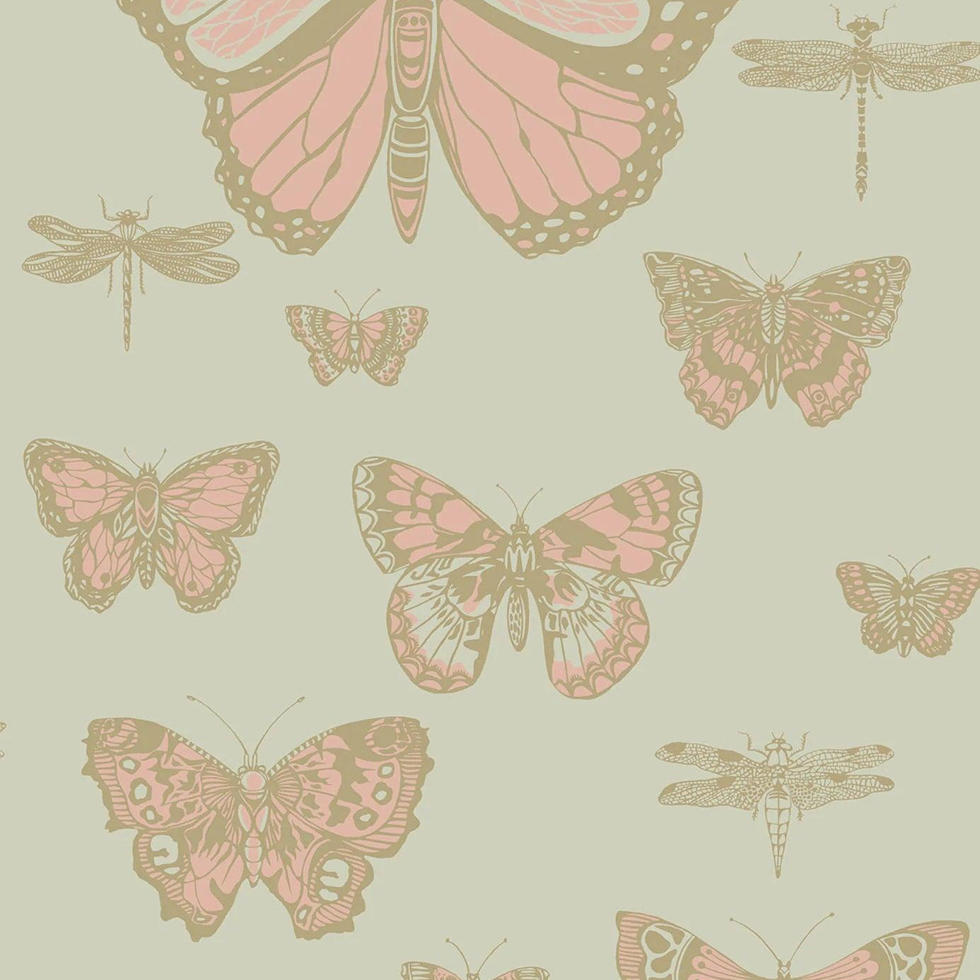 Tapeta WHIMSICAL - Butterflies & Dragonflies zielony Cole & Son    Eye on Design
