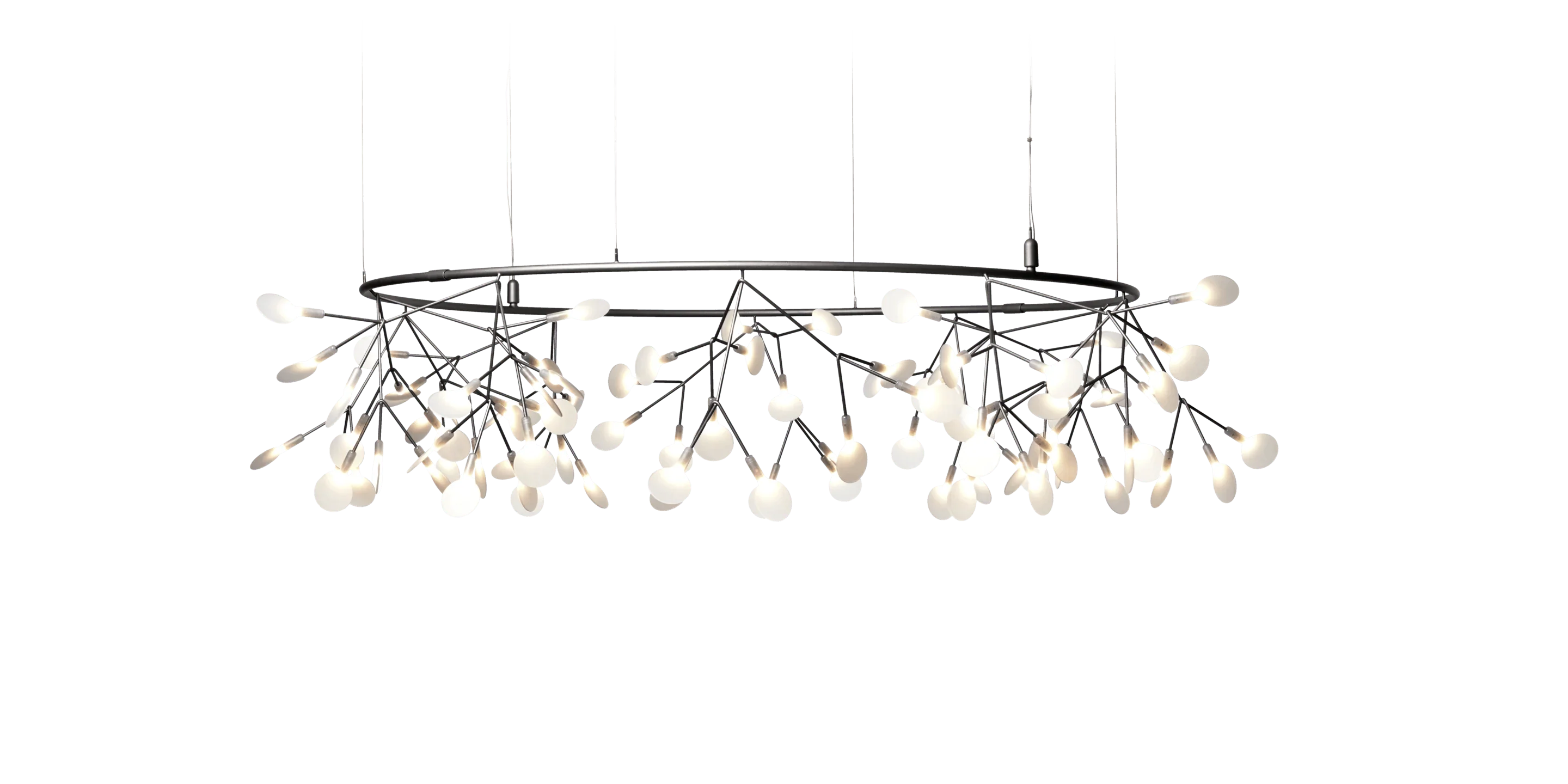 HERACLEUM III THE BIG O nickel-plated chandelier Moooi 160 cm Eye on Design