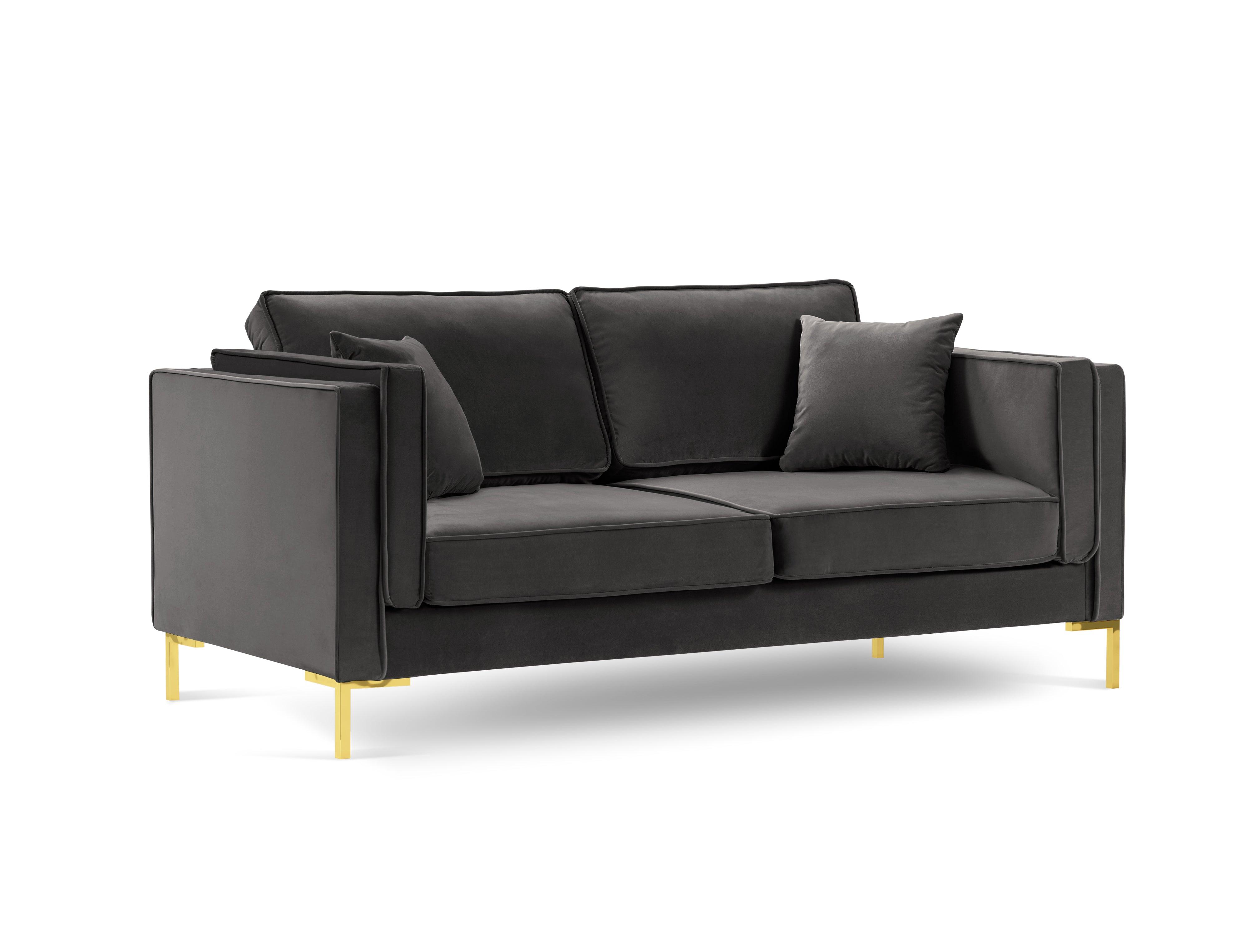 LUIS dark grey velvet 2-seater sofa with gold base - Eye on Design